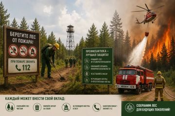 На опережение стихии: профилактика и борьба с лесными пожарами