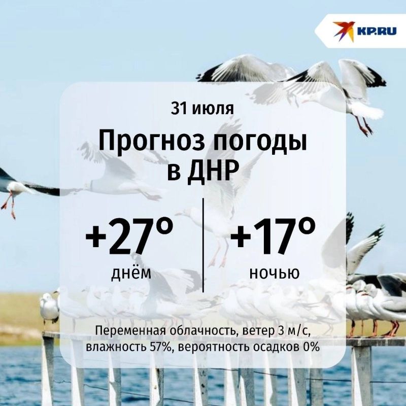 В ДНР сегодня небо слегка облачное, а ветер северный