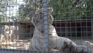 Судьба «Парка диких животных» в наших руках! Сотни пушистиков ждут вашего визита