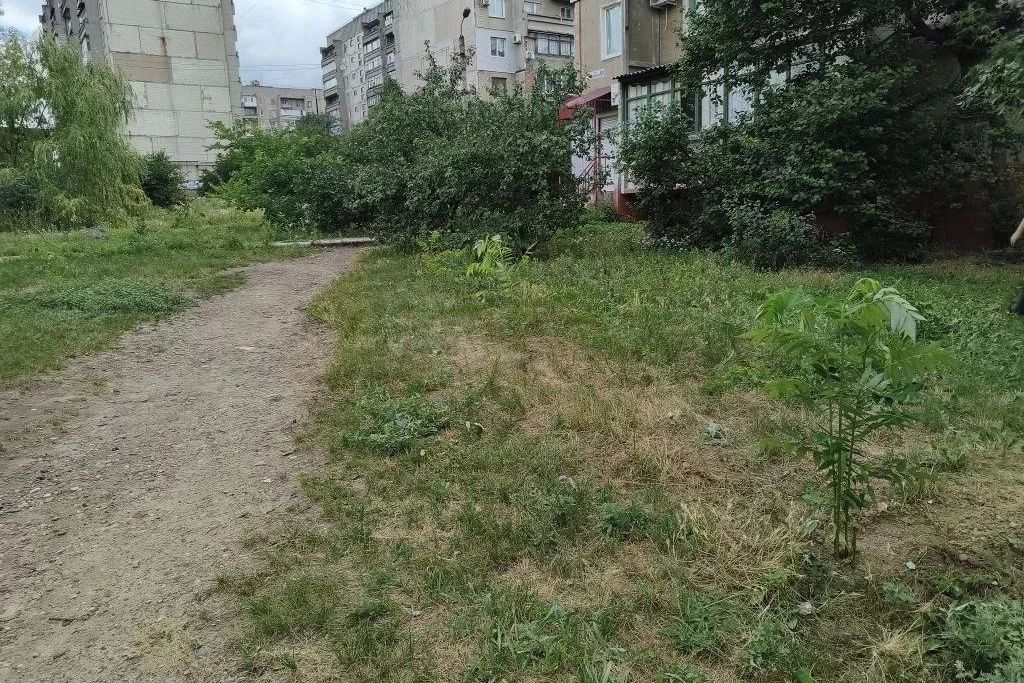 Дворы Горловки преображаются: высажены новые деревья и кустарники Дворы Горловки преображаются: высажены новые деревья и кустарники