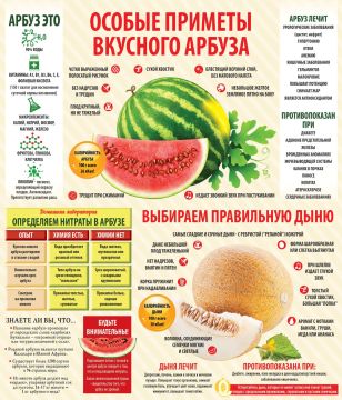 Выбираем правильную бахчевую культуру