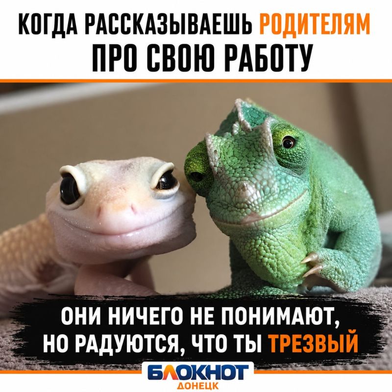Каждый. Прислать новость/жалобу
