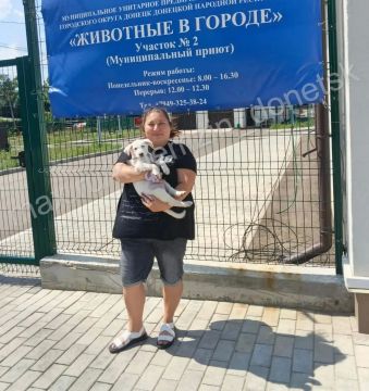 Алексей Кулемзин: Специалисты предприятия «Животные в городе» продолжают свою ежедневную работу: