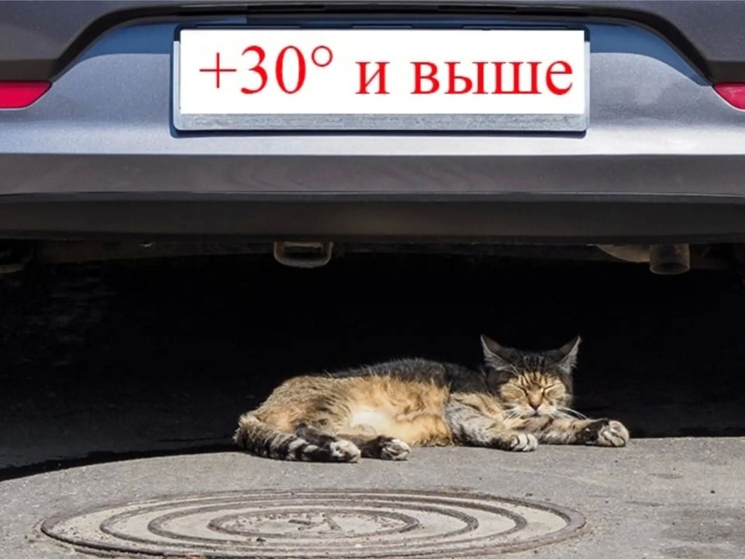 Градус повышается!. Уже в эти выходные температура днём поднимется до +30°