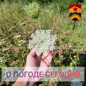 ��������� �����: ������������� ������� � ������ � ���������� ������