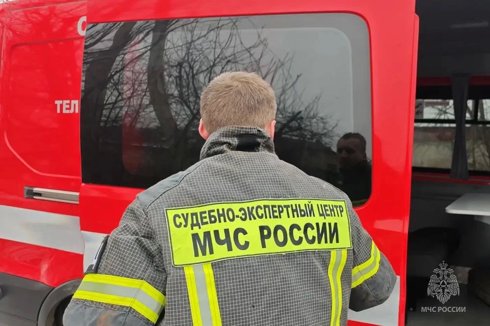 От пепла к ответу: в ДНР новые технологии помогают ускорить установление причин пожаров