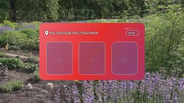 Доброе утро!. Последний день июля порадует жителей Донецка комфортной летней погодой
