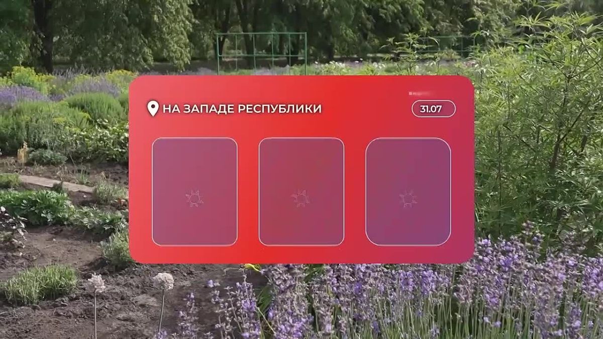 Доброе утро!. Последний день июля порадует жителей Донецка комфортной летней погодой