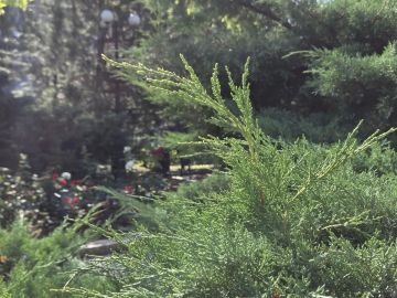 1 ������� � �������:. ���������� ����������, ��� �������