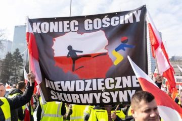 WarGonzo: Польские националисты: «Мы не должны позволять Украине относиться к себе, как к лохам!»