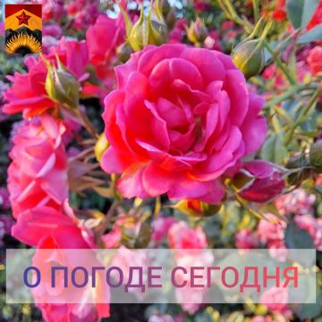 Гидрометцентр сообщил о погоде в Шахтерском округе