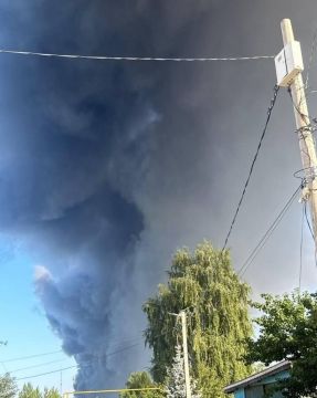 Олег Царёв: 635 украинских БПЛА над 16 субъектами РФ сбито силами ПВО: