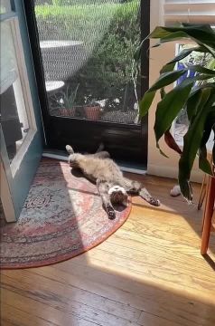 Воскресенье — жаримся. Сейчас в Донецке +22°, днём +29°, ощущается как +32°