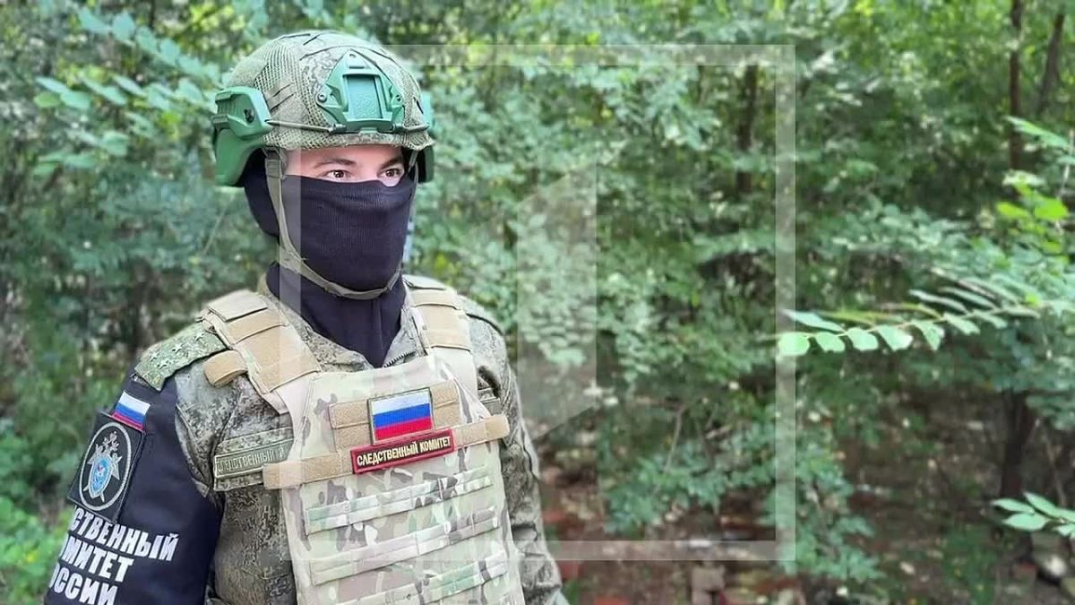 За прошедшую неделю следователями СК России зафиксированы преступления вооруженных формирований Украины, совершенные в отношении мирного населения ДНР