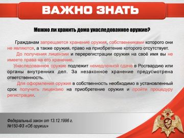Можно ли хранить дома унаследованное оружие?