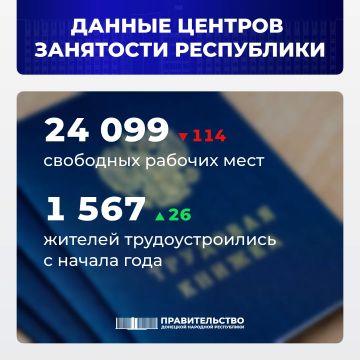 Вице-премьер Лариса Толстыкина сообщила о свободных рабочих местах в ДНР