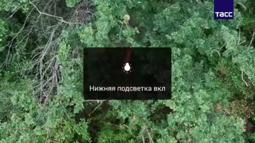 Бойцы Южной группировки уничтожили пехоту, блиндаж и пункт управления БПЛА ВСУ в ДНР