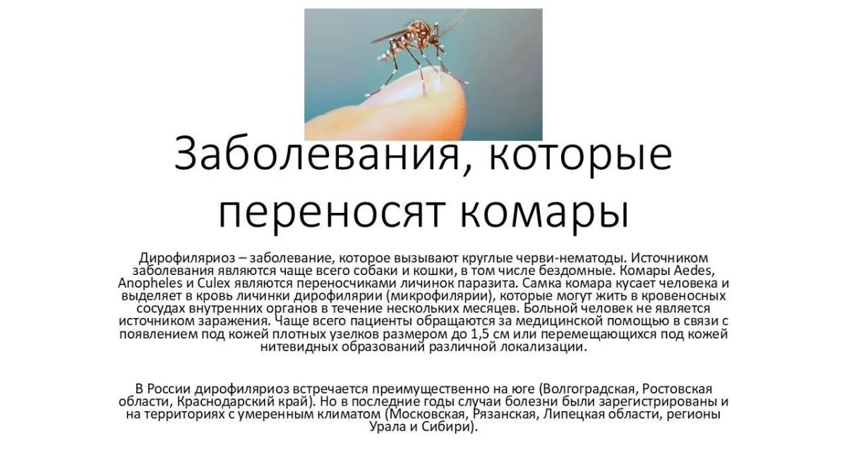 Роспотребнадзор информирует: актуальные меры профилактики в летний период Роспотребнадзор информирует: актуальные меры профилактики в летний период