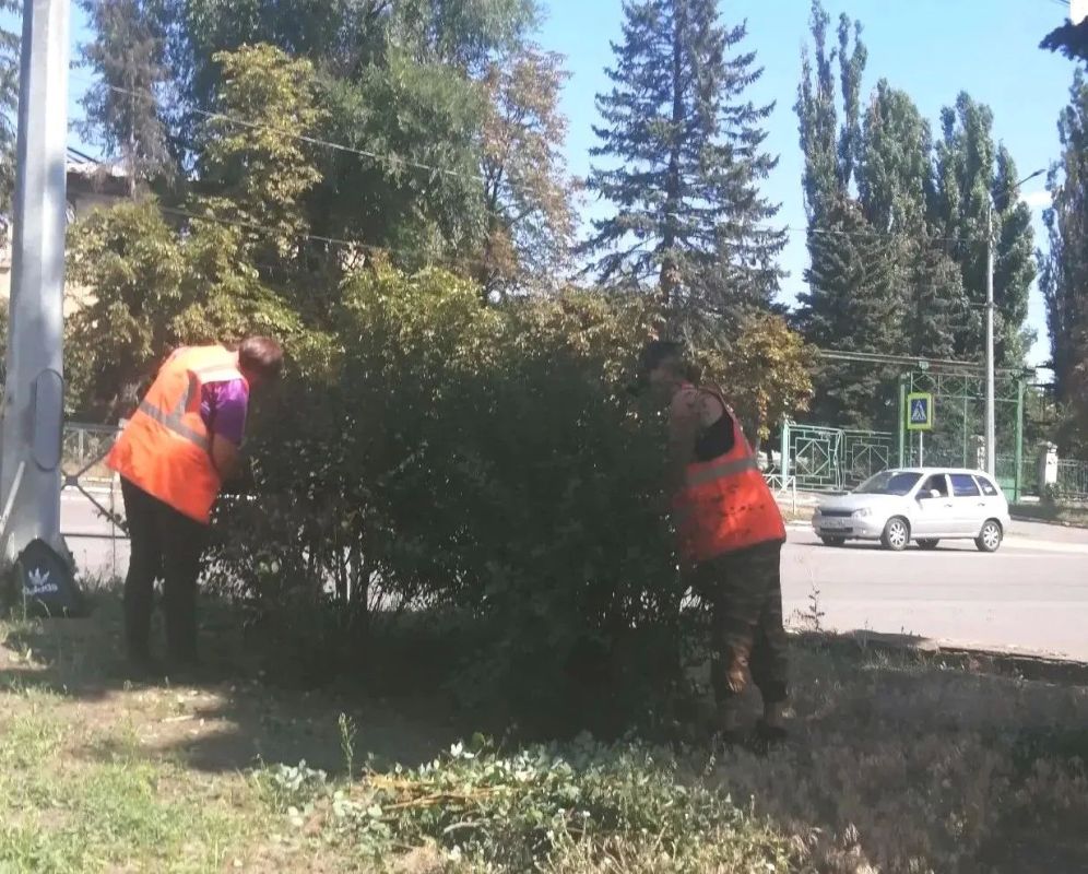 Коммунальщики Снежного продолжают благоустраивать территории общего пользования Коммунальщики Снежного продолжают благоустраивать территории общего пользования