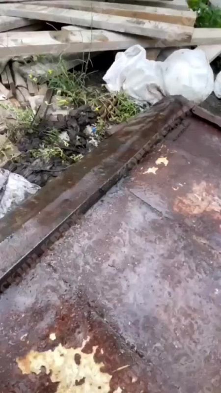 Каракурты перебрались в ДНР — в Торезе заметили «чёрную вдову»
