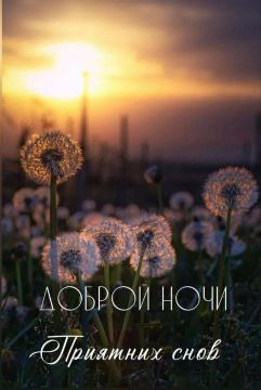 Спокойной ночи!