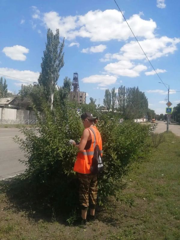 Коммунальщики Снежного продолжают благоустраивать территории общего пользования Коммунальщики Снежного продолжают благоустраивать территории общего пользования