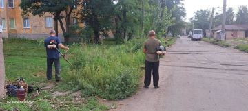 Елена Рязанцева: Сегодня Управой Пролетарского внутригородского района ведутся работы по покосу травы вдоль дороги по ул. Иноземцева - ул. Филатова