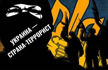 ВСУ совершили новый теракт