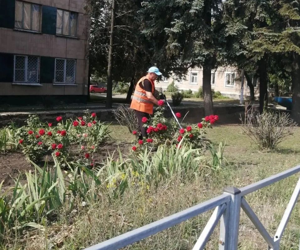 Коммунальщики Снежного продолжают благоустраивать территории общего пользования Коммунальщики Снежного продолжают благоустраивать территории общего пользования