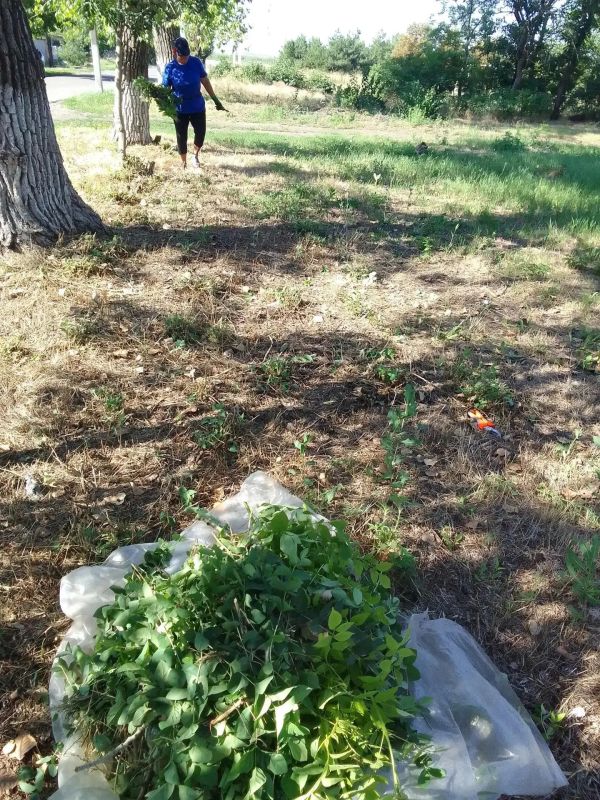 Оперативная сводка по благоустройству Амвросиевского округа за 04.08.2026 Оперативная сводка по благоустройству Амвросиевского округа за 04.08.2026