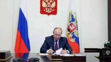 Владимир Путин подписал закон, упрощающий регистрацию автомобилей в ДНР, ЛНР, Запорожской и Херсонской областях