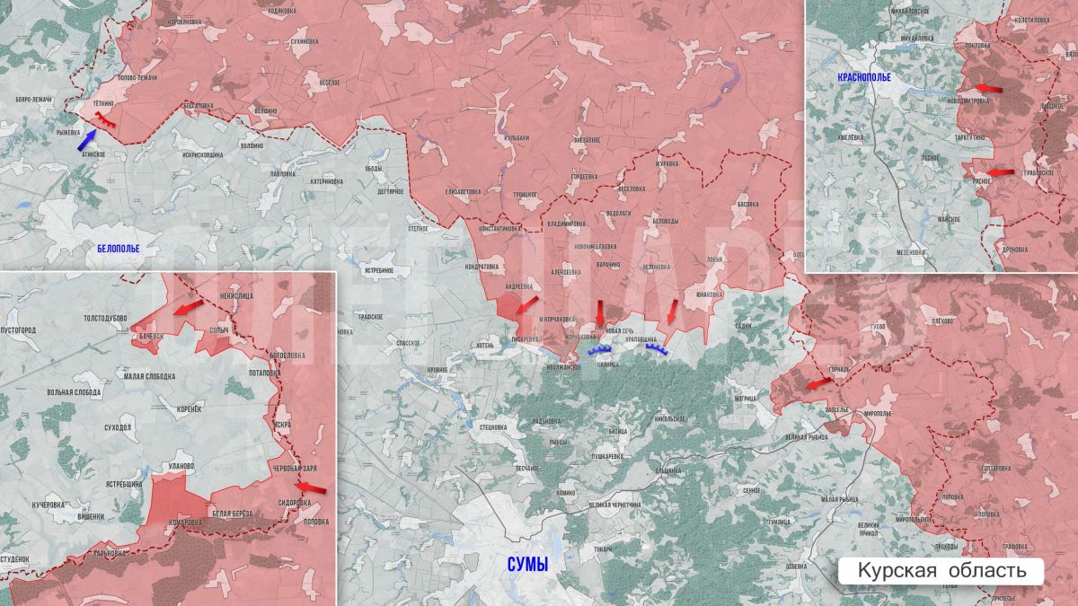 Олег Царёв: Фронтовая сводка 5 августа Олег Царёв: Фронтовая сводка 5 августа