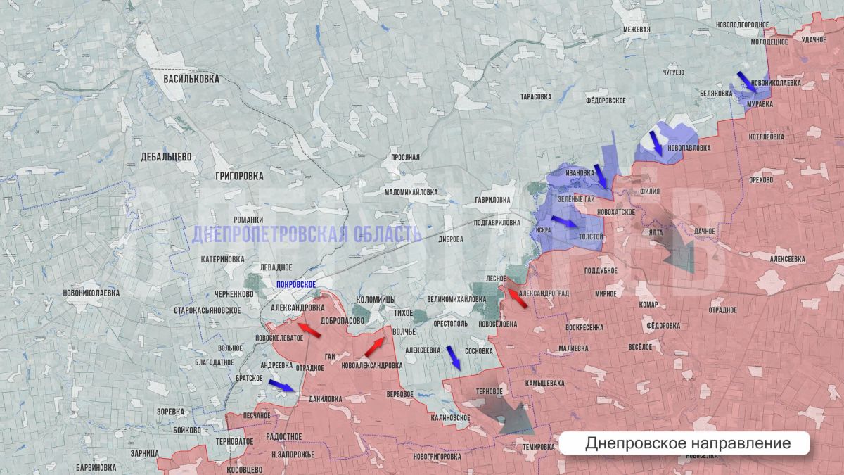 Олег Царёв: Фронтовая сводка 5 августа Олег Царёв: Фронтовая сводка 5 августа