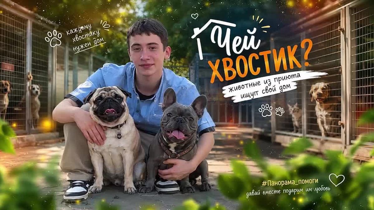 Из приюта — на диван. Кто готов стать вашим лучшим другом?