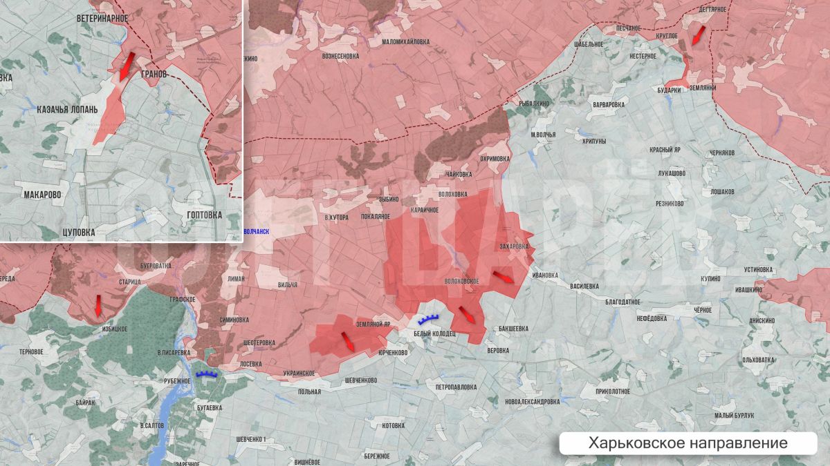 Олег Царёв: Фронтовая сводка 5 августа Олег Царёв: Фронтовая сводка 5 августа