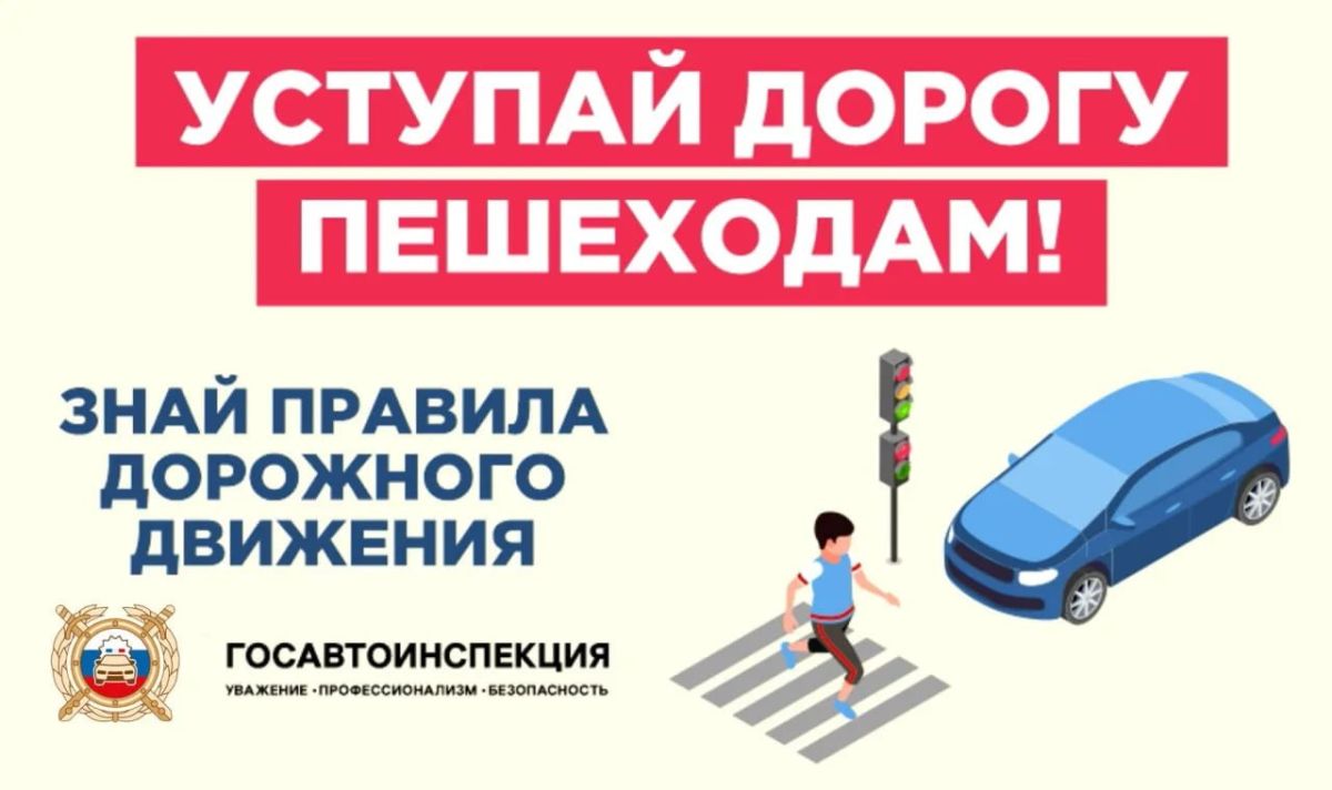 Водители транспортных средств порой не пропускают пешеходов на пешеходных переходах