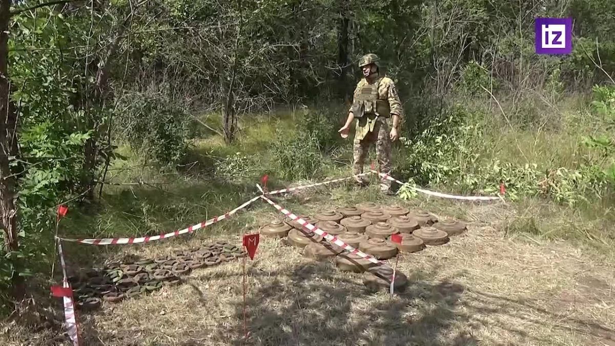 Фанатики своего дела: сапёры проводят очистку территорий в зоне проведения спецоперации в условиях экстремальной жары и постоянной воздушной угрозы