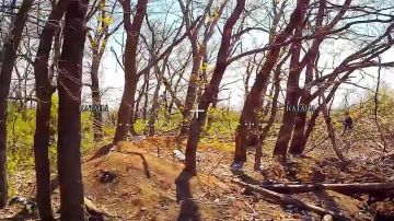 На счету оператора БПЛА Псковского соединения ВДВ с позывным «Катана» свыше 400 пораженных целей