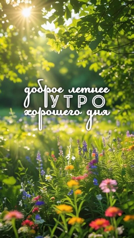 #доброе_утро