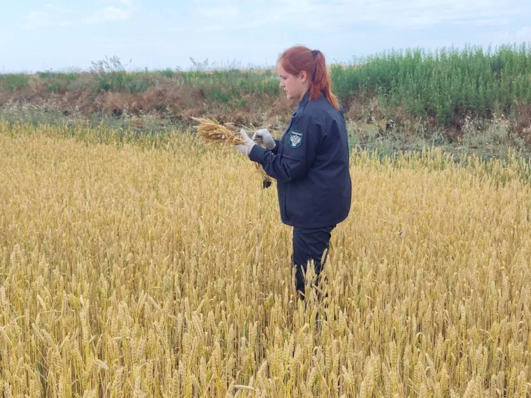 С мая по начало августа инспекторы Управления