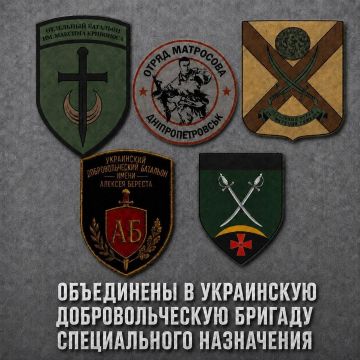Бывших военнослужащих ВСУ объединили в одну добровольческую бригаду