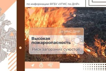 С 7 по 9 августа в ДНР ожидается высокая пожароопасность (4 класс)