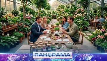 «Цветущий бизнес» в ДНР! Как ботанический сад поможет в развитии ресторанного бизнеса?
