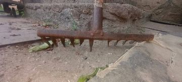 В Старобешево женщина из-за пьянки избила лучшую подругу граблями