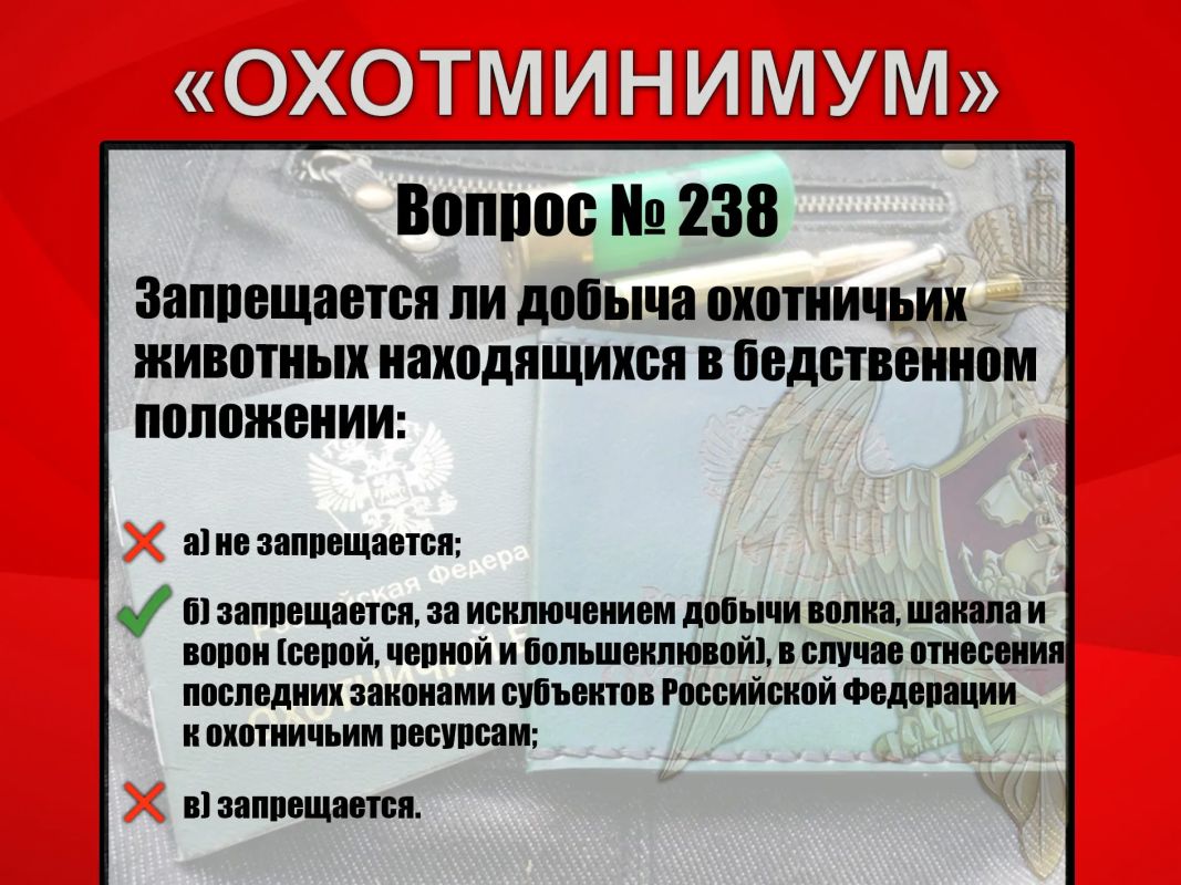 #Охотминимум #Охотминимум