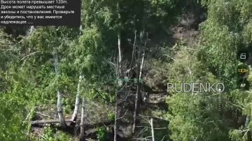 Андрей Руденко: Операторы FPV-дронов войск беспилотных систем в составе ГрВ «Запад» уничтожили живую силу ВСУ в районе Красного Лимана