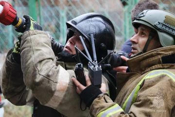 #МЧСДНР_СВОД за сутки. Ликвидировано 43 пожара, из них 20 — ландшафтные
