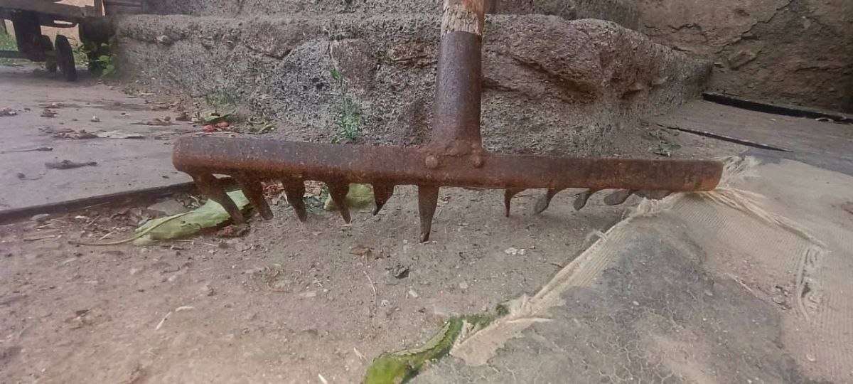 В Старобешево женщина из-за пьянки избила лучшую подругу граблями