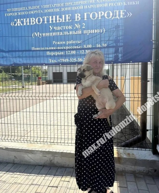 Алексей Кулемзин: Специалисты муниципального предприятия «Животные в городе» продолжают активную работу: отлавливают бездомных питомцев, оказывают им ветеринарную помощь и ежедневно трудятся над тем, чтобы каждый хвостик... Алексей Кулемзин: Специалисты муниципального предприятия «Животные в городе» продолжают активную работу: отлавливают бездомных питомцев, оказывают им ветеринарную помощь и ежедневно трудятся над тем, чтобы каждый хвостик...