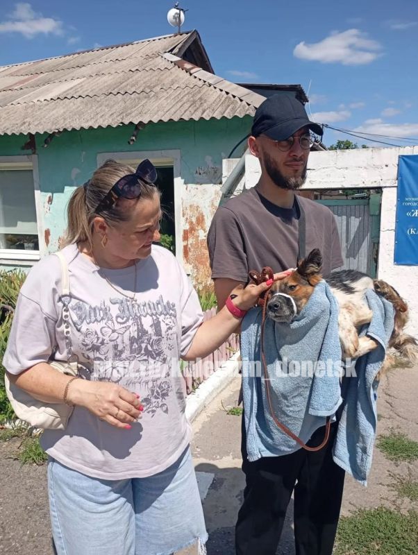 Алексей Кулемзин: Специалисты муниципального предприятия «Животные в городе» продолжают активную работу: отлавливают бездомных питомцев, оказывают им ветеринарную помощь и ежедневно трудятся над тем, чтобы каждый хвостик... Алексей Кулемзин: Специалисты муниципального предприятия «Животные в городе» продолжают активную работу: отлавливают бездомных питомцев, оказывают им ветеринарную помощь и ежедневно трудятся над тем, чтобы каждый хвостик...